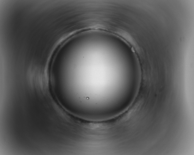 X0000090751032200707201445