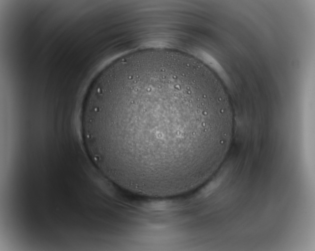X0000090751035200707201445