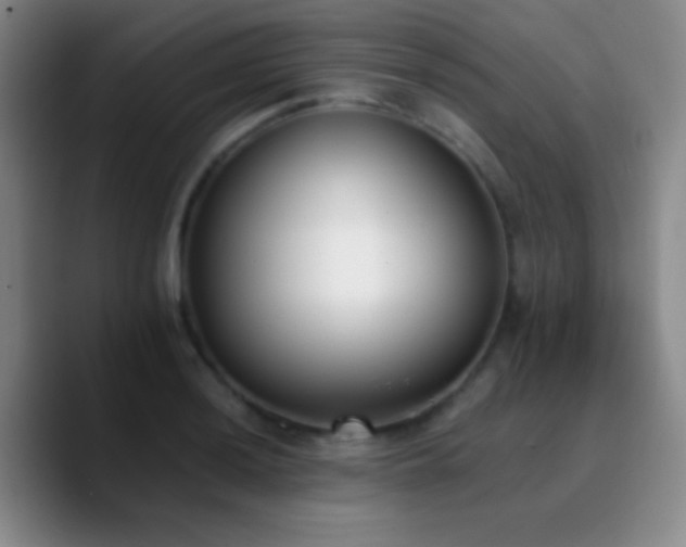 X0000090751036200707201445