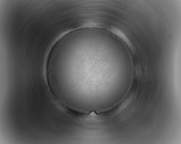 X0000090751043200707201445