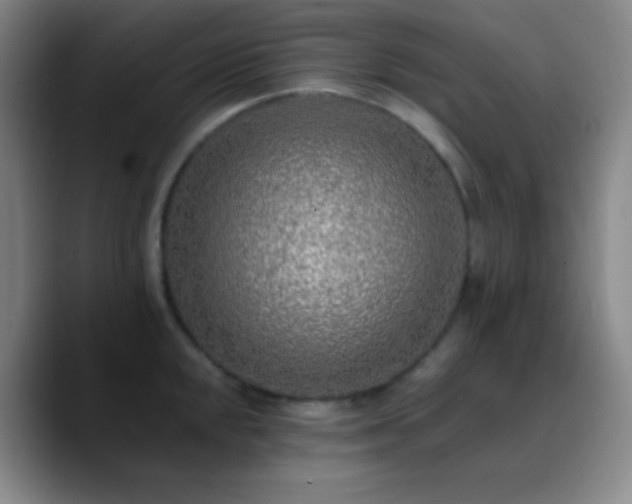 X0000090751048200707201445