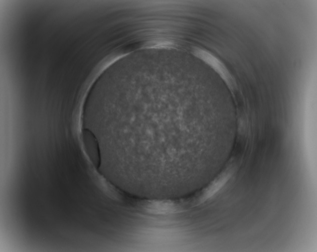 X0000090751050200707201445