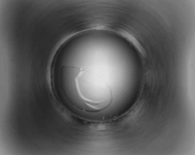 X0000090751051200707201445