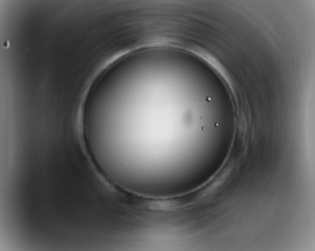 X0000090751053200707201445
