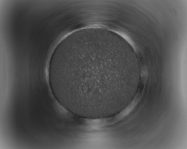 X0000090751054200707201445