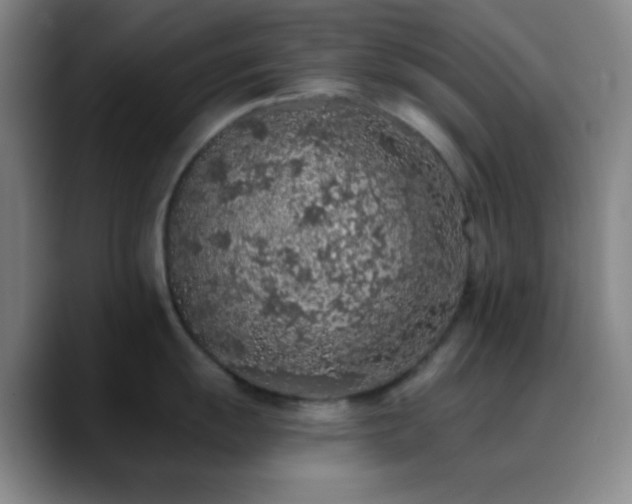 X0000090751055200707201445