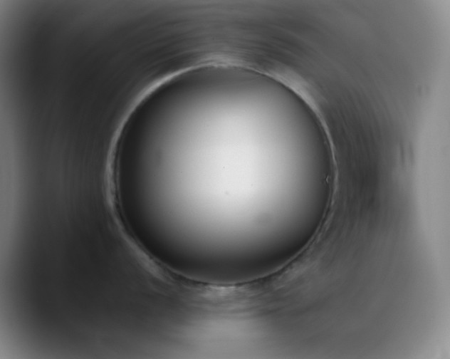 X0000090751056200707201445