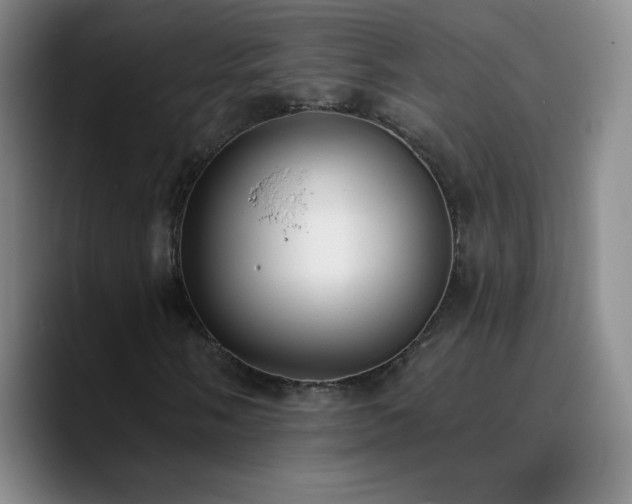 X0000090751058200707201445