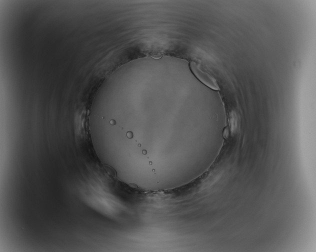 X0000090751059200707201445