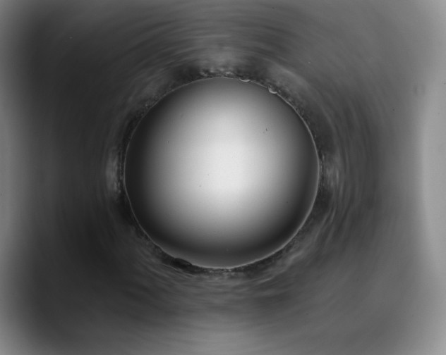 X0000090751060200707201445