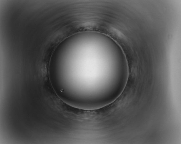 X0000090751062200707201445