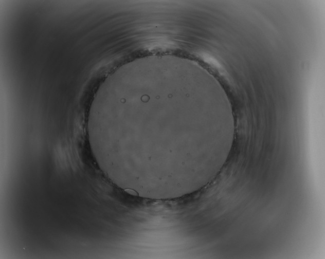 X0000090751063200707201445