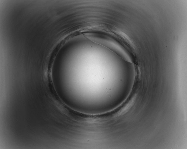 X0000090751065200707201445