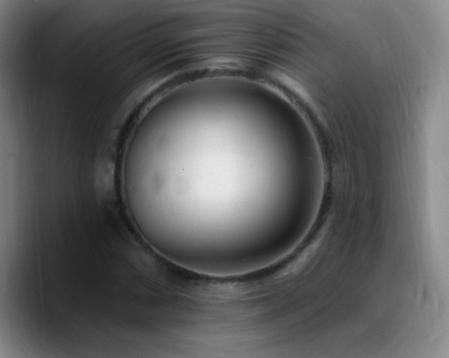 X0000090751066200707201445