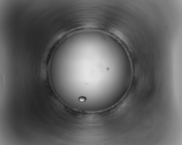 X0000090751067200707201445