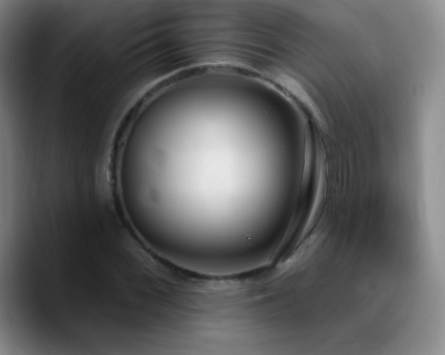 X0000090751068200707201445