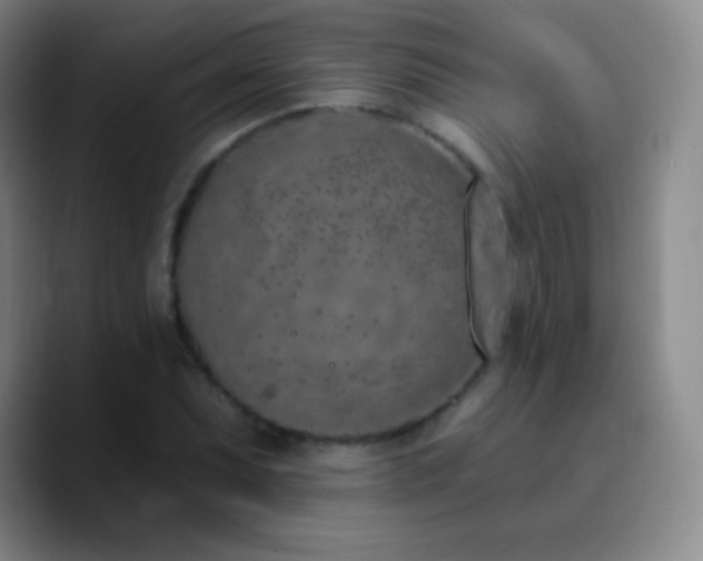 X0000090751071200707201445