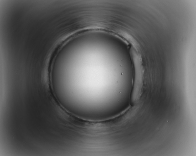 X0000090751072200707201445
