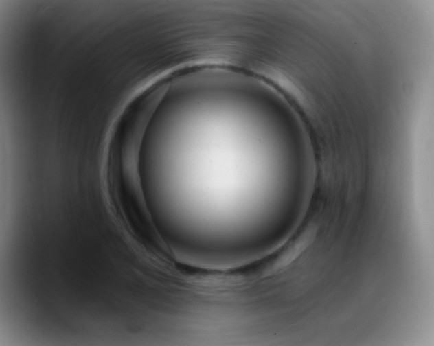 X0000090751077200707201445