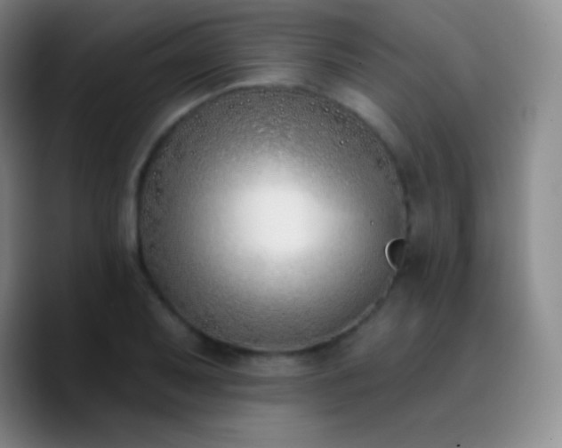 X0000090751079200707201445