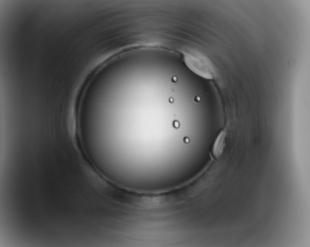 X0000090751080200707201445