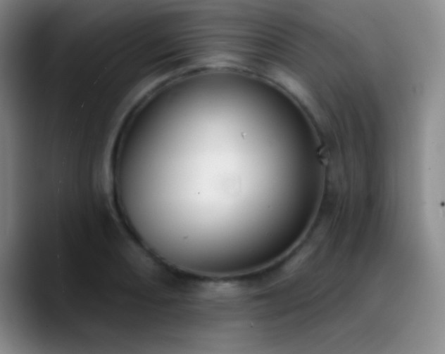 X0000090751082200707201444