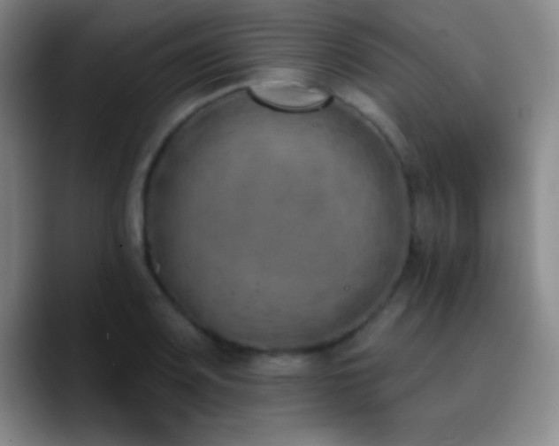 X0000090751083200707201444