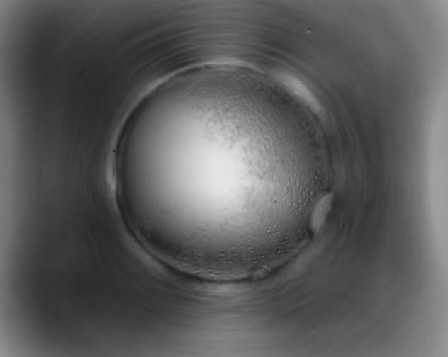 X0000090751084200707201444