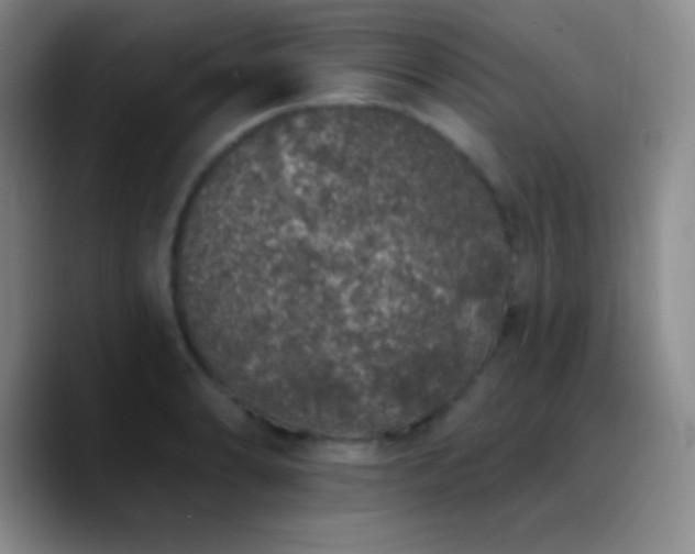 X0000090751086200707201444