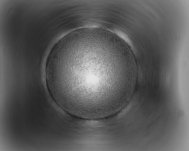 X0000090751088200707201444