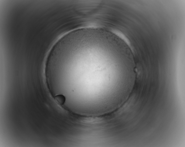X0000090751091200707201444