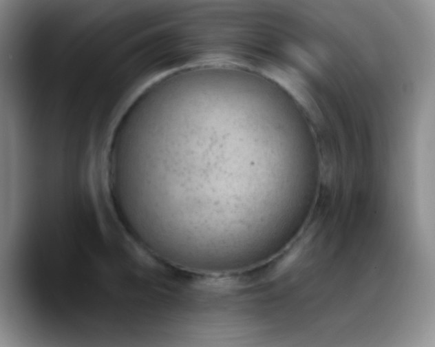 X0000090751094200707201444