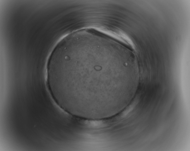X0000090751095200707201444