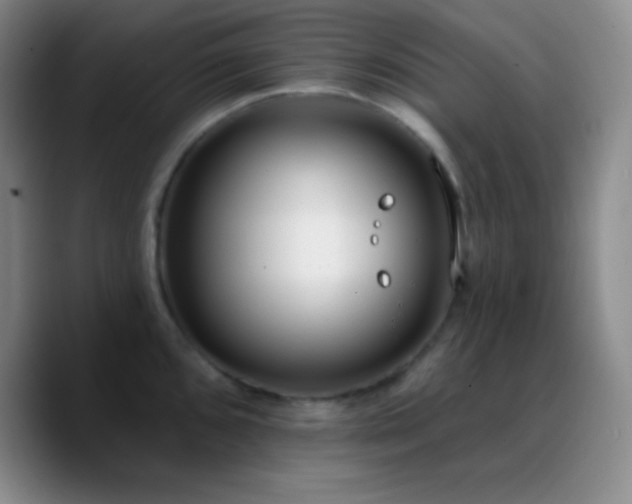 X0000090751096200707201444