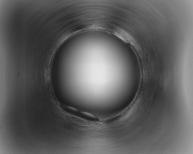 X0000090751097200707201444