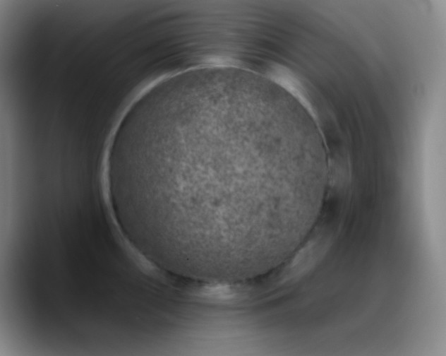 X0000090751098200707201444