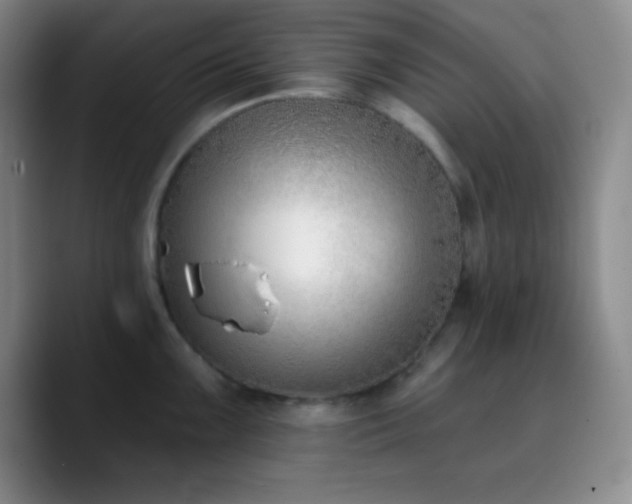 X0000090751099200707201444