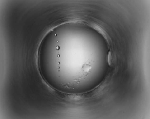 X0000090751103200707201444