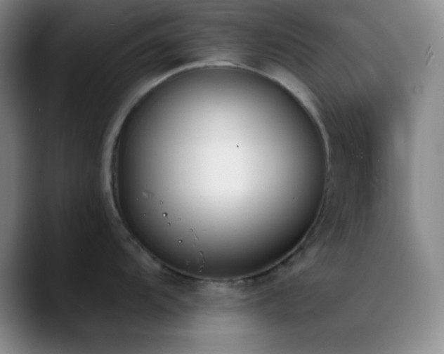 X0000090751104200707201444