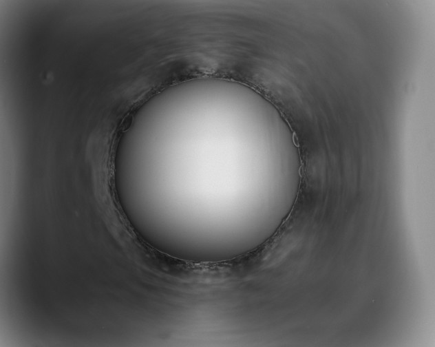 X0000090751105200707201444