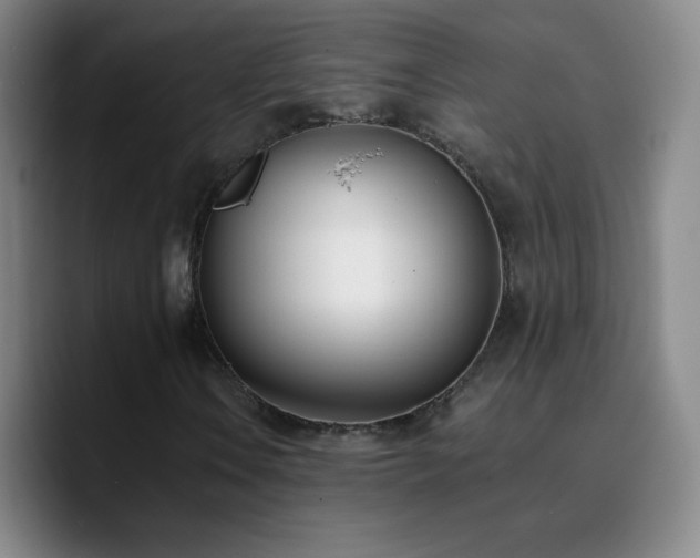 X0000090751106200707201444