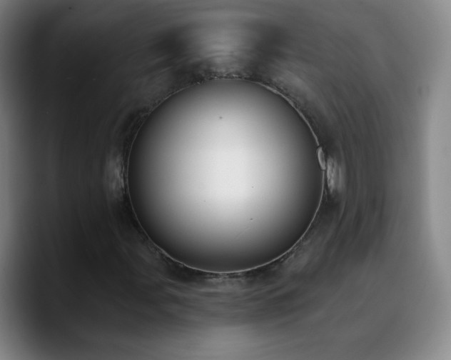X0000090751107200707201444