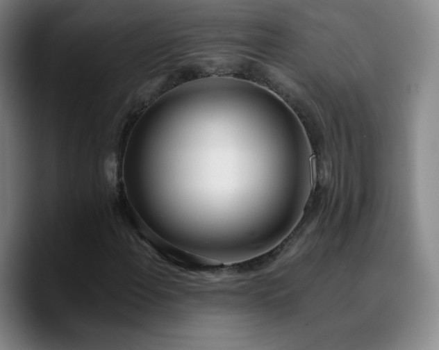 X0000090751108200707201444