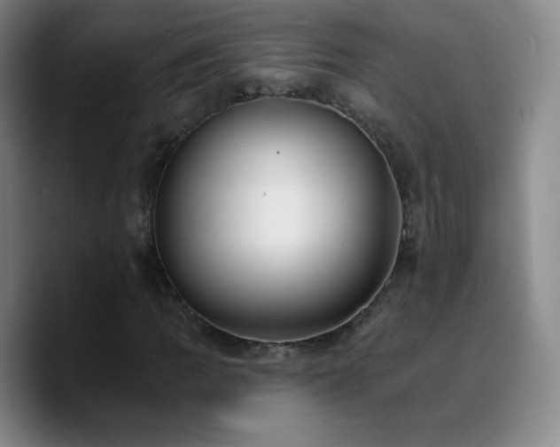 X0000090751109200707201444