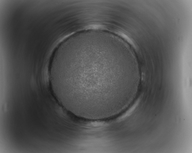 X0000090751117200707201444