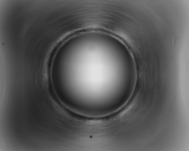 X0000090751118200707201444