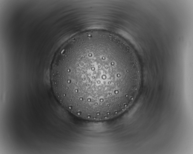 X0000090751121200707201444