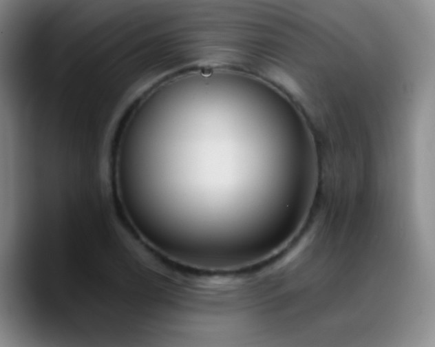 X0000090751122200707201444