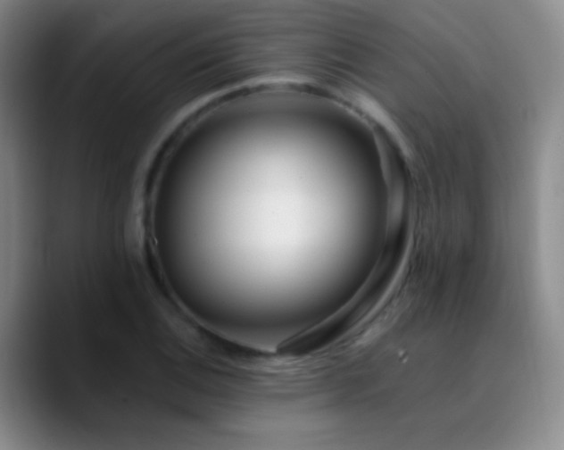 X0000090751124200707201444