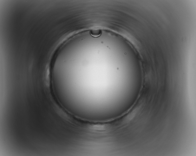 X0000090751126200707201444